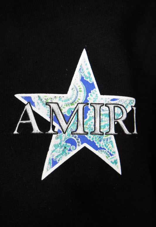 Amiri Kapuzenpullover, Hoodie - Salvin Store